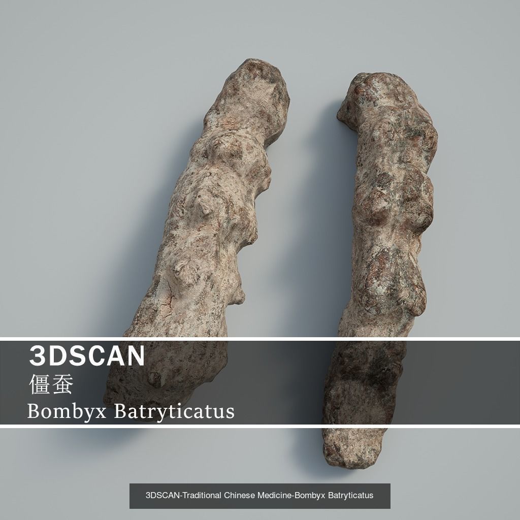 3DSCAN-Traditional Chinese Medicine 3D Model Collection 04 _18