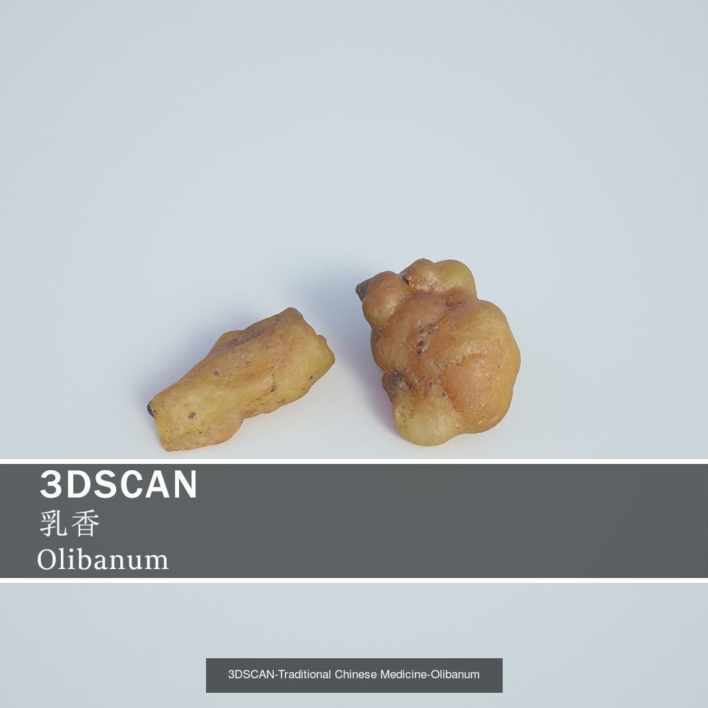 3DSCAN-Traditional Chinese Medicine 3D Model Collection 04 _21