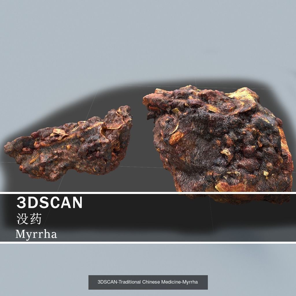 3DSCAN-Traditional Chinese Medicine 3D Model Collection 04 _9