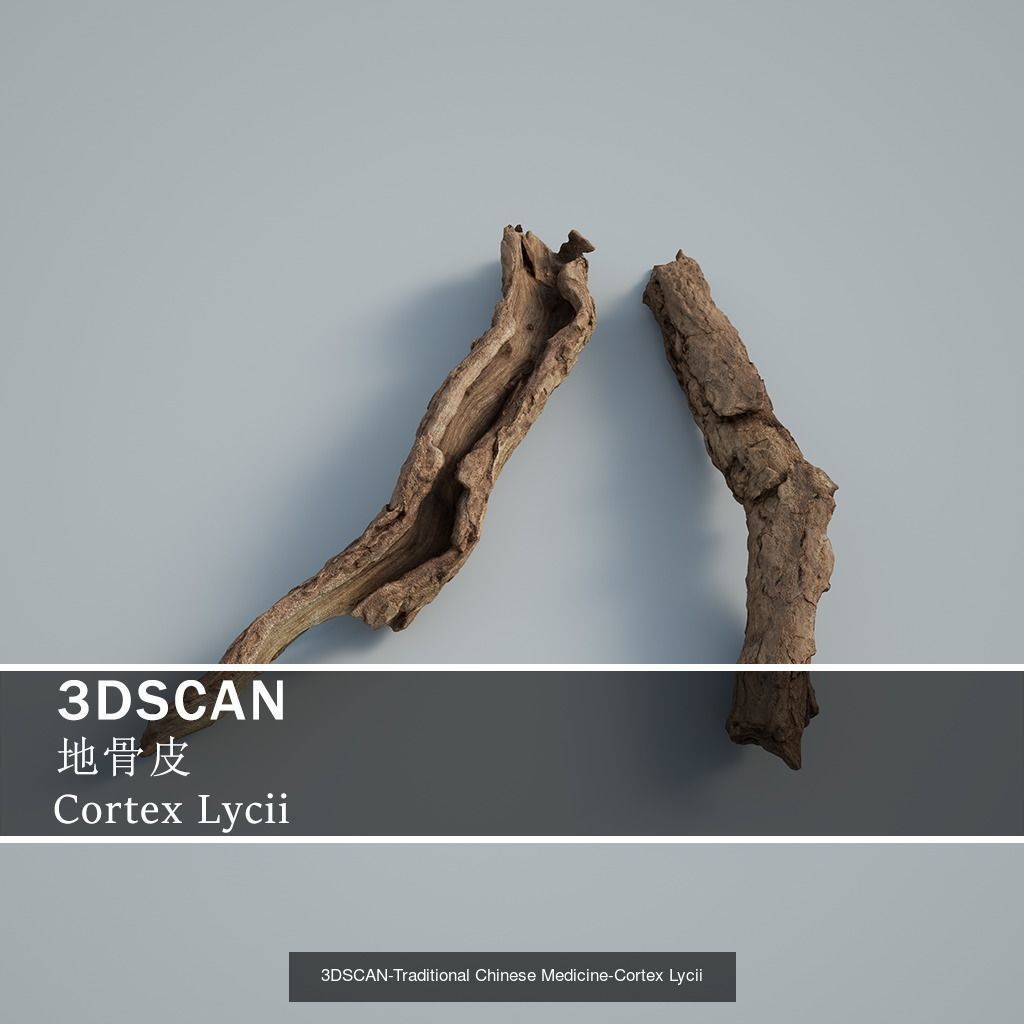 3DSCAN-Traditional Chinese Medicine 3D Model Collection 04 _22