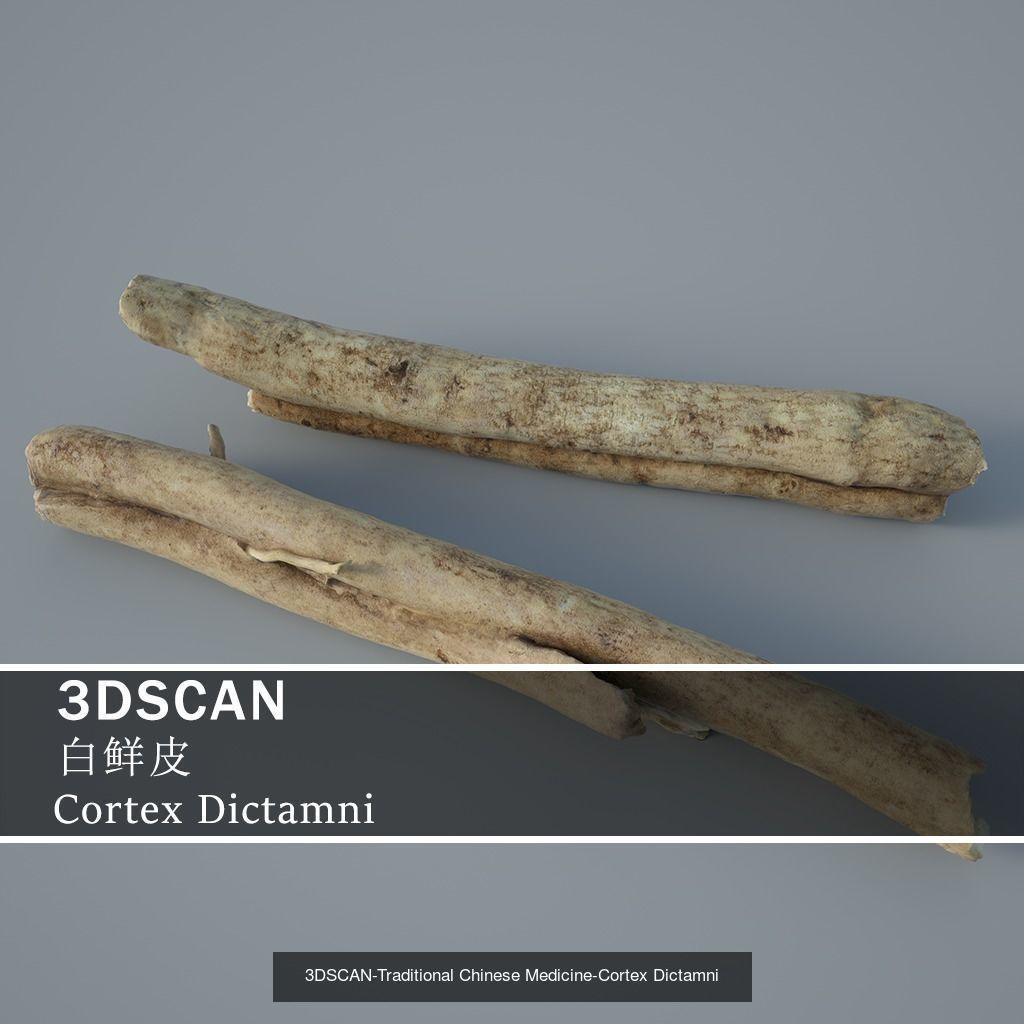 3DSCAN-Traditional Chinese Medicine 3D Model Collection 04 _23