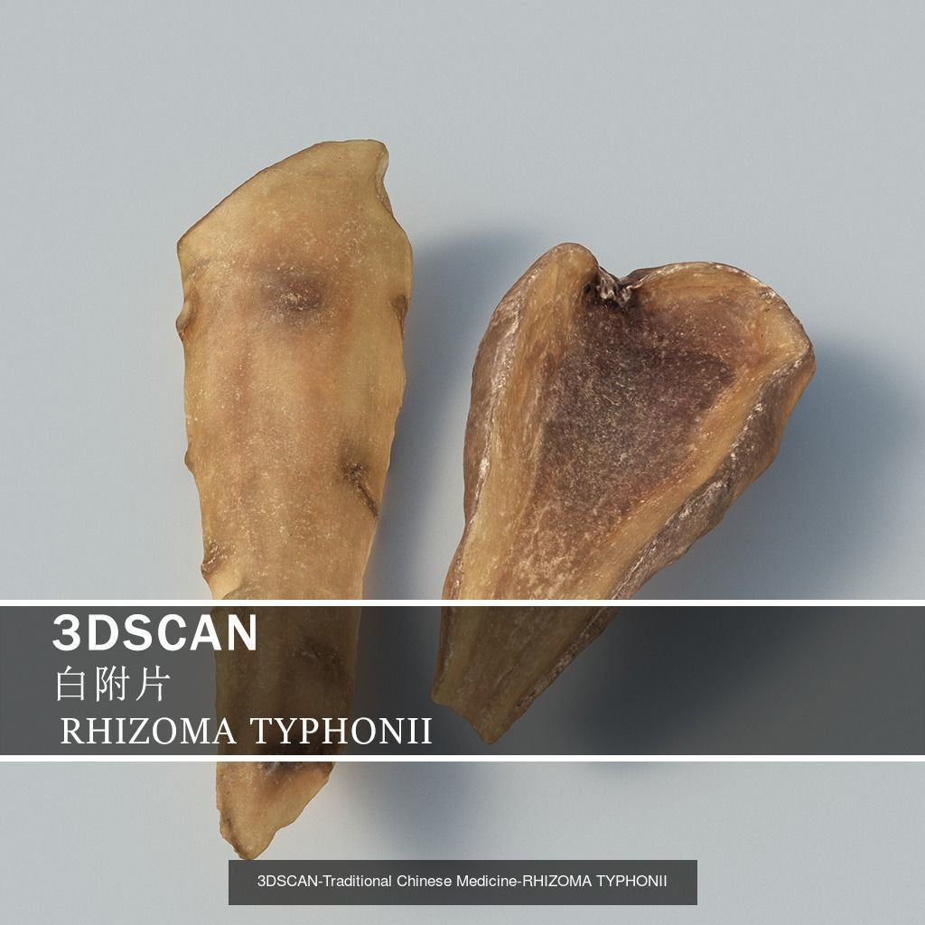 3DSCAN-Traditional Chinese Medicine 3D Model Collection 04 _6