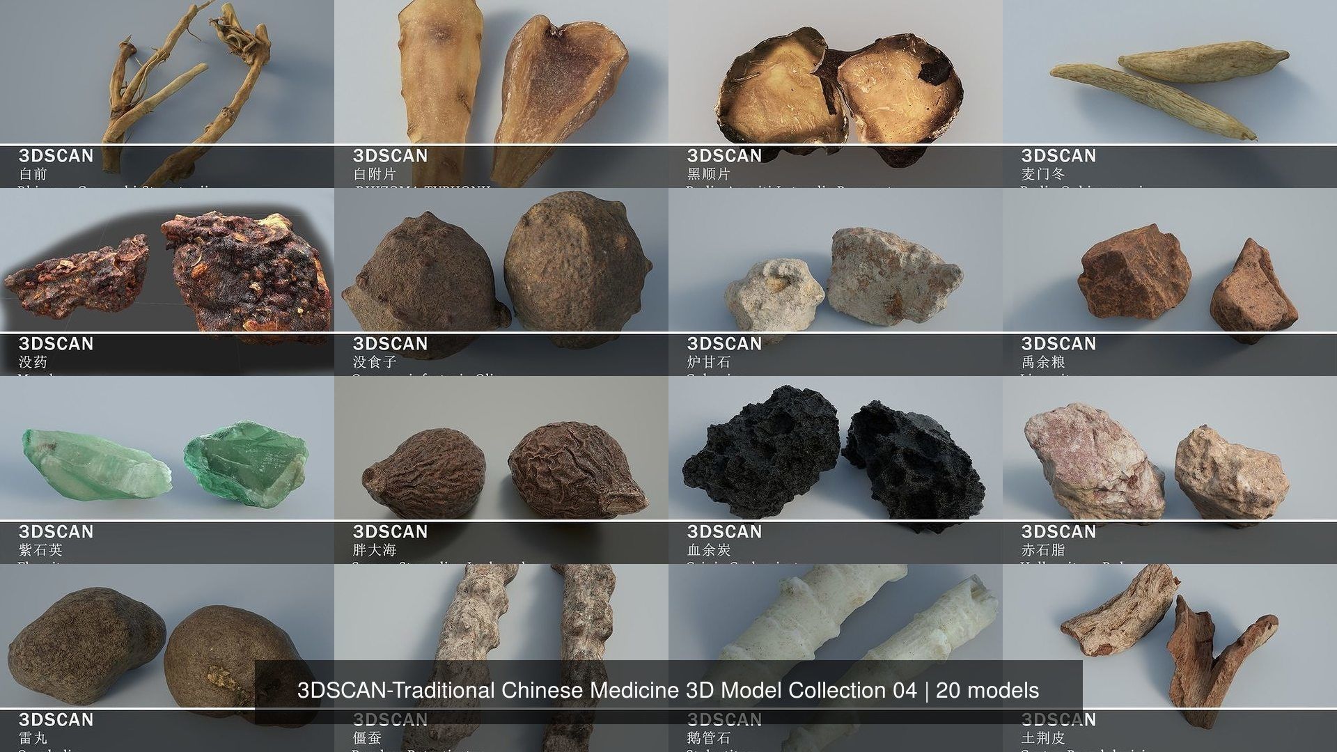 3DSCAN-Traditional Chinese Medicine 3D Model Collection 04 _2