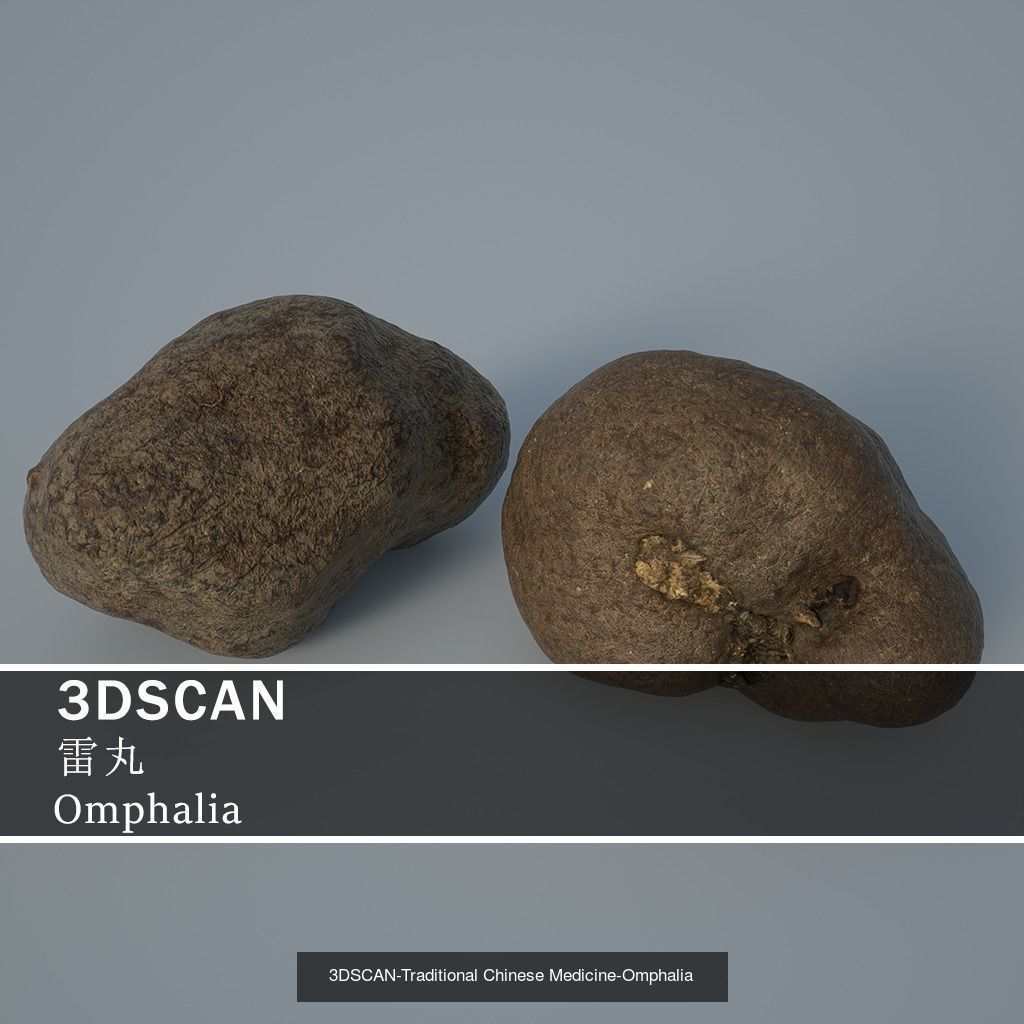 3DSCAN-Traditional Chinese Medicine 3D Model Collection 04 _17