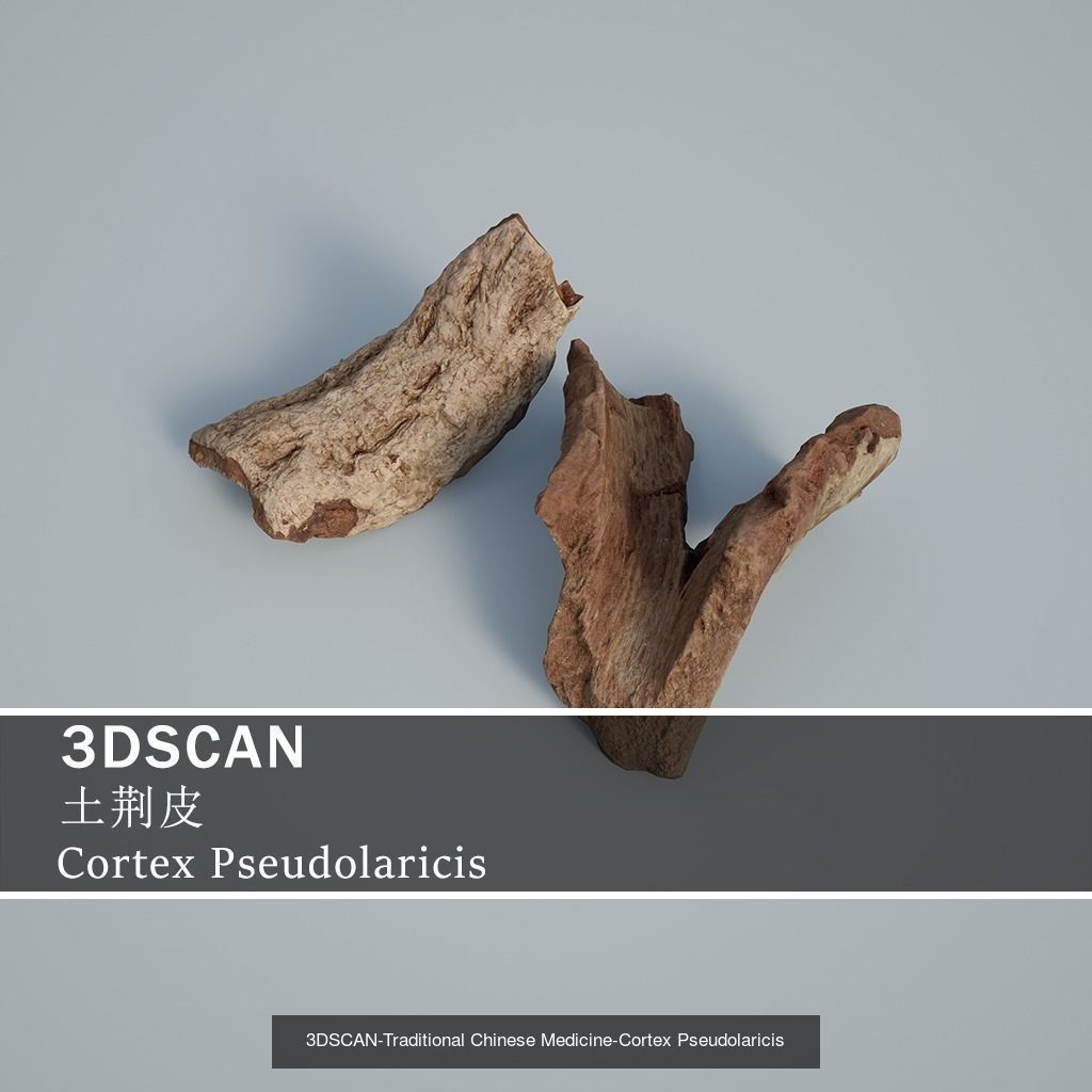 3DSCAN-Traditional Chinese Medicine 3D Model Collection 04 _20