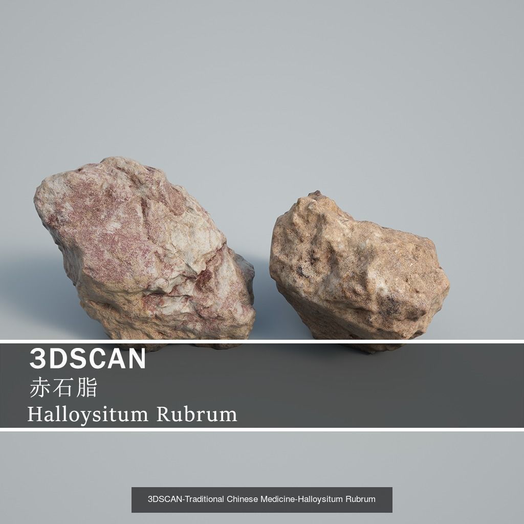 3DSCAN-Traditional Chinese Medicine 3D Model Collection 04 _16
