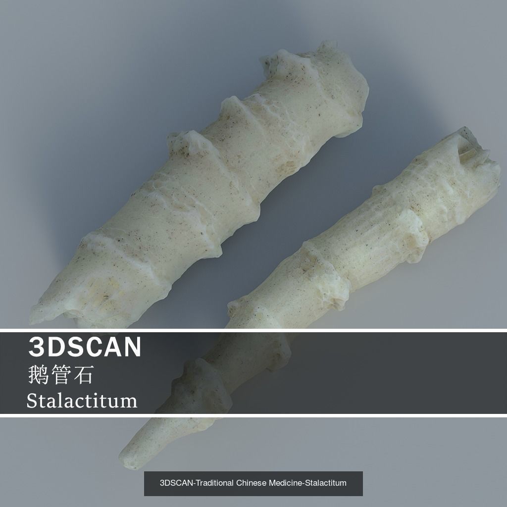 3DSCAN-Traditional Chinese Medicine 3D Model Collection 04 _19