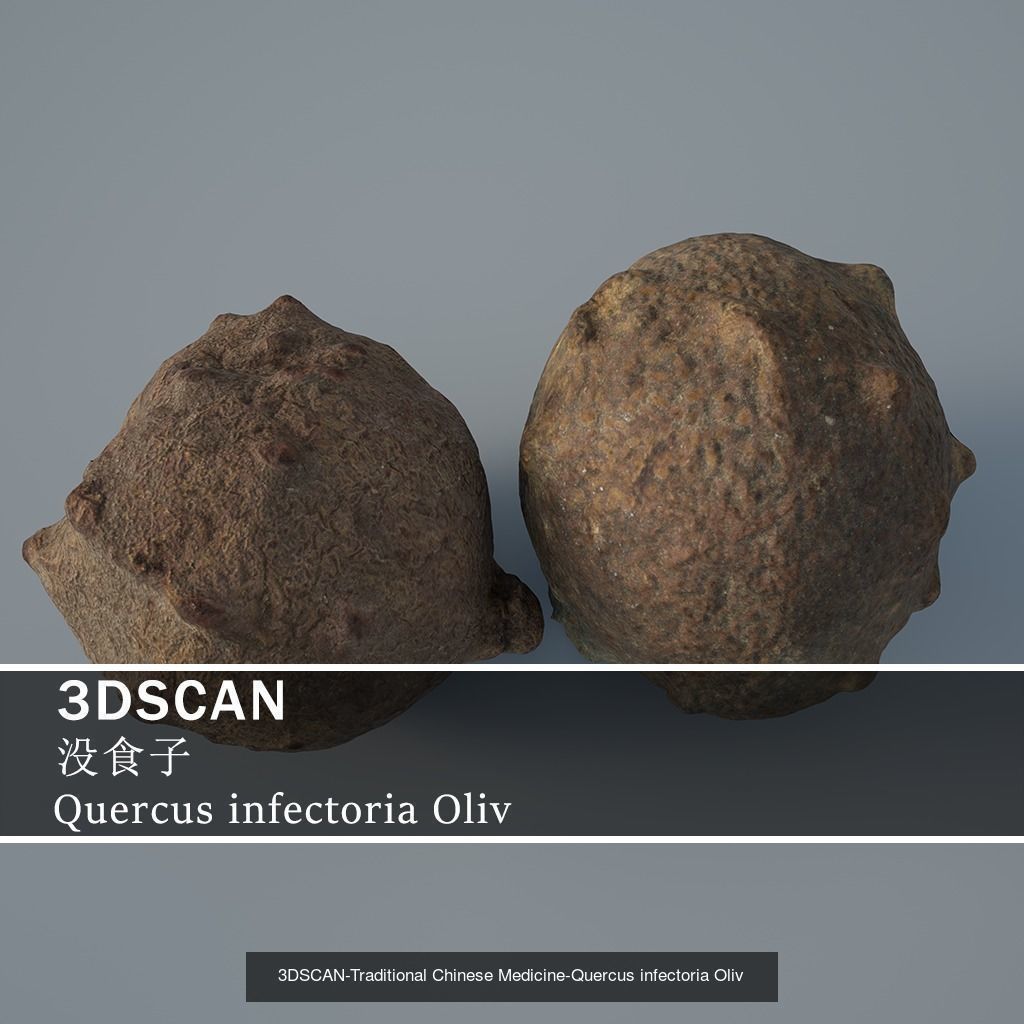3DSCAN-Traditional Chinese Medicine 3D Model Collection 04 _10