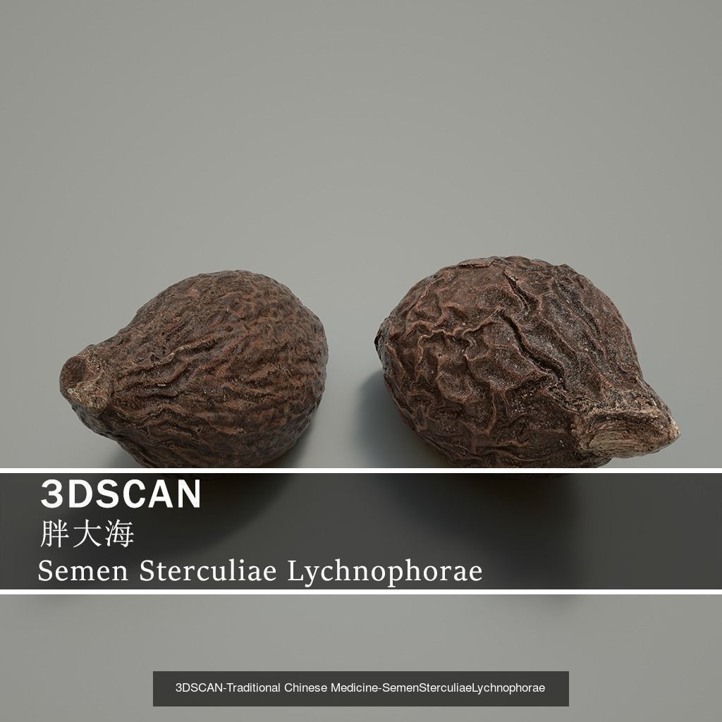 3DSCAN-Traditional Chinese Medicine 3D Model Collection 04 _14
