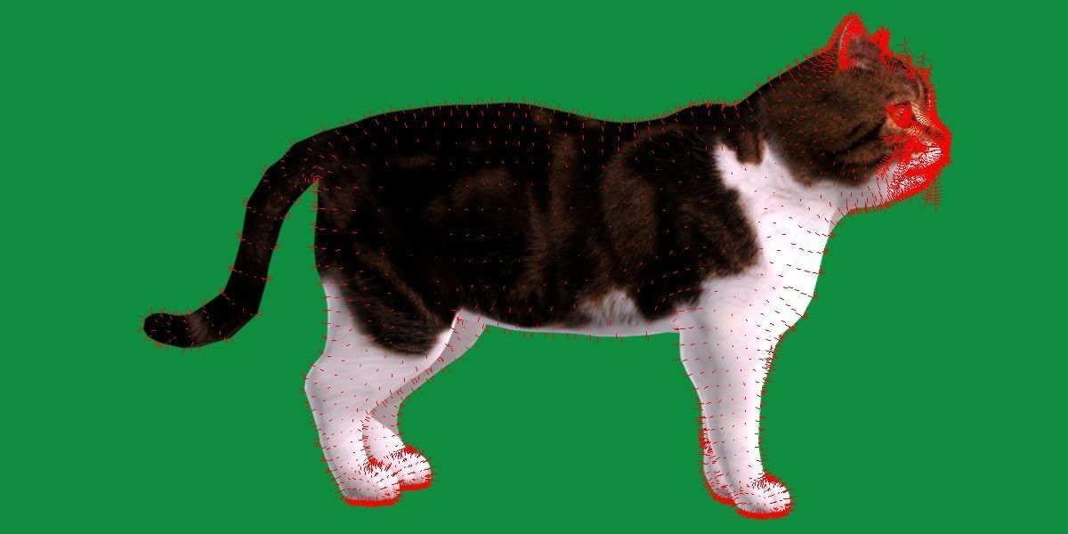 Scottish Straight Cat Low-poly 3D model_11