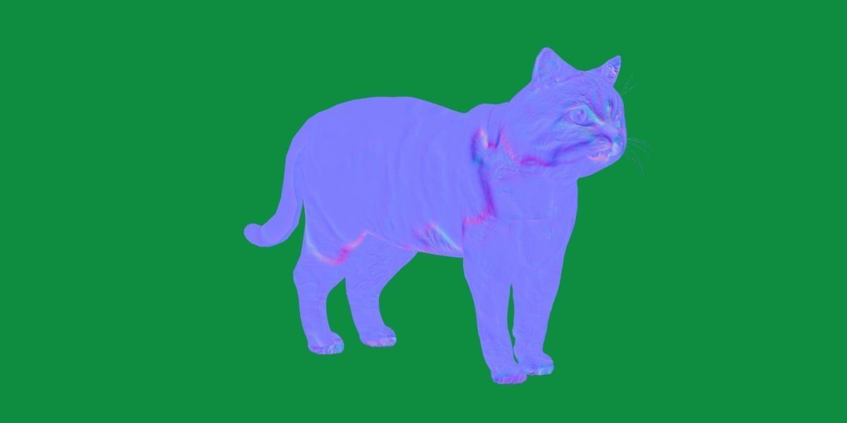 Scottish Straight Cat Low-poly 3D model_3