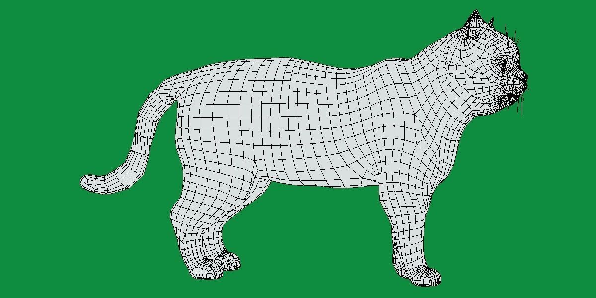 Scottish Straight Cat Low-poly 3D model_10