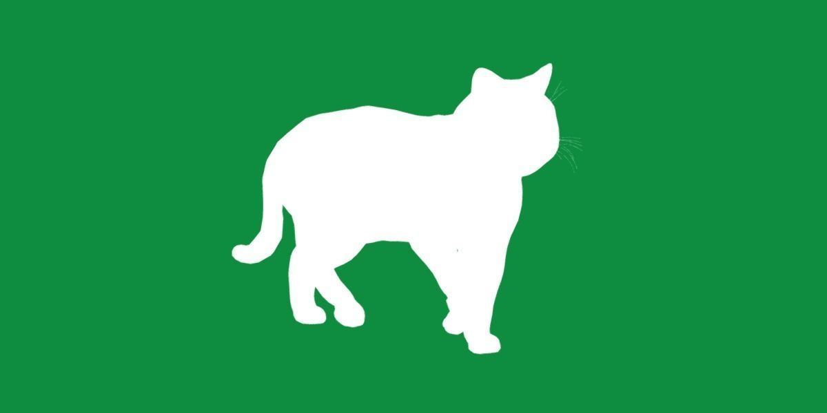 Scottish Straight Cat Low-poly 3D model_24