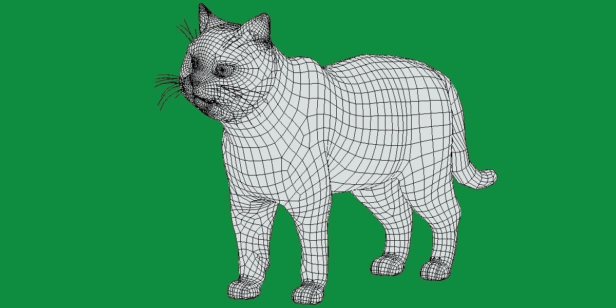 Scottish Straight Cat Low-poly 3D model_9