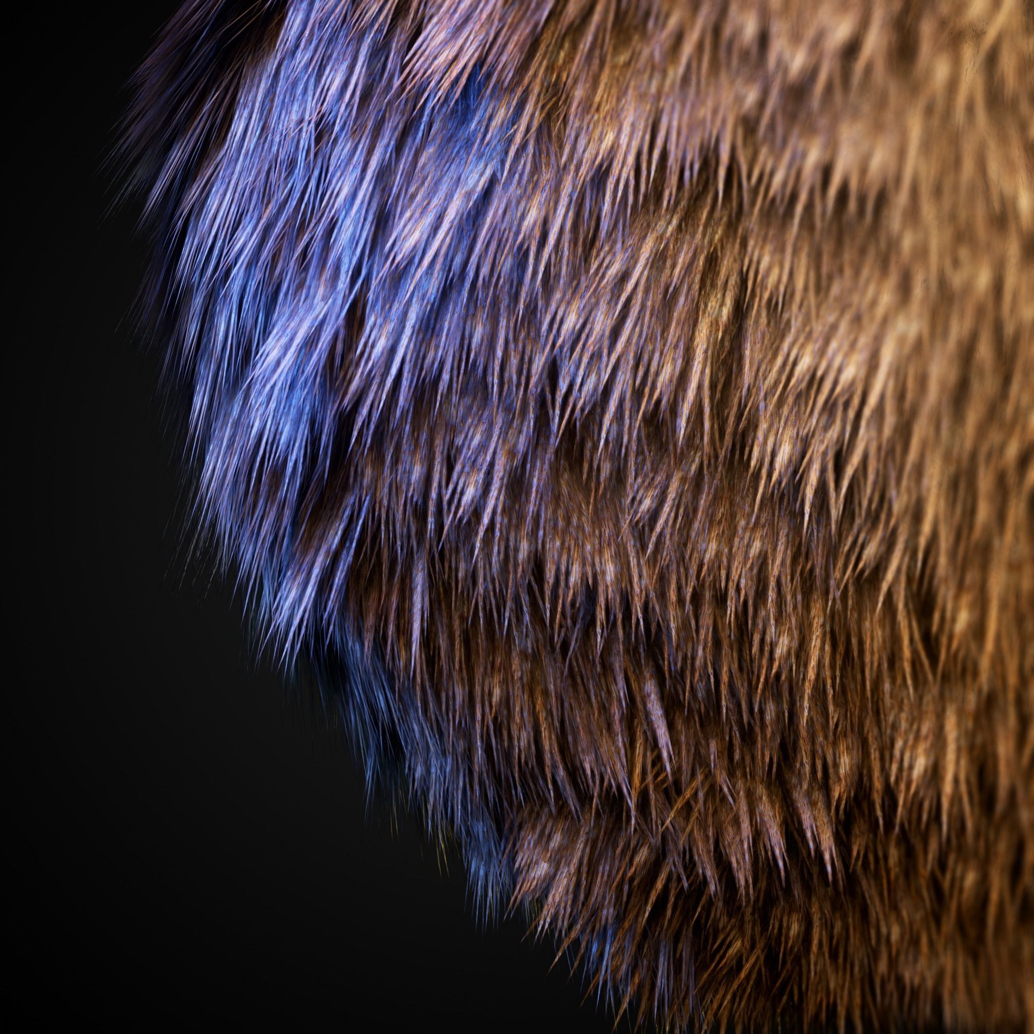 70 Fur Alphas Realistic - High Quality 2K Texture_5