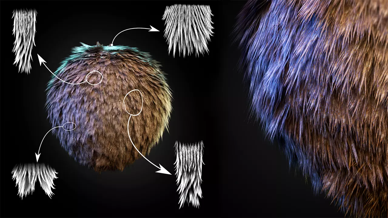 70 Fur Alphas Realistic - High Quality 2K Texture_0
