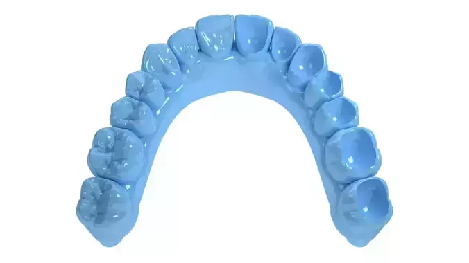 Denture occlusal 3D print model
