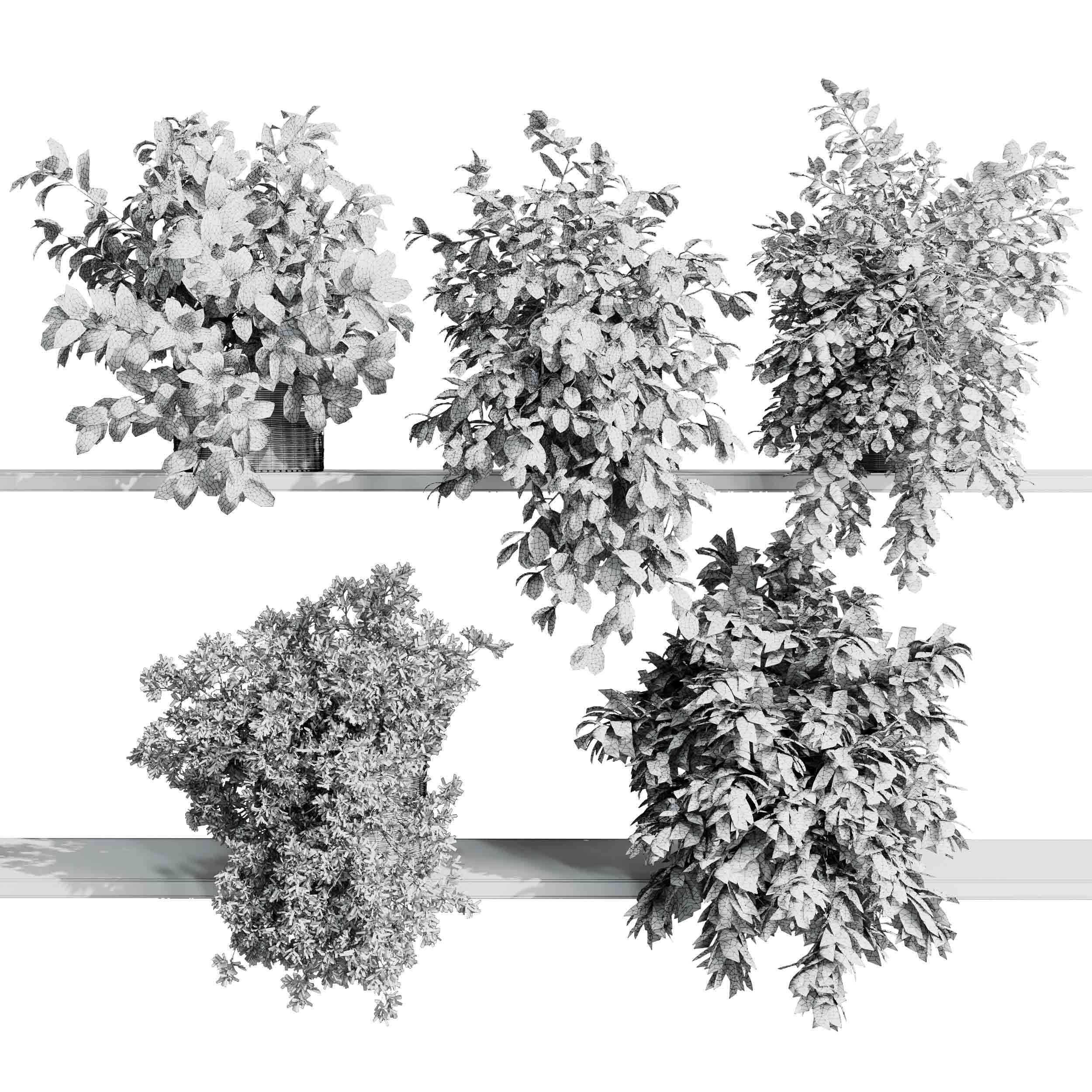 wall plant - hanging plants collection Indoor plant 523 3D model_6