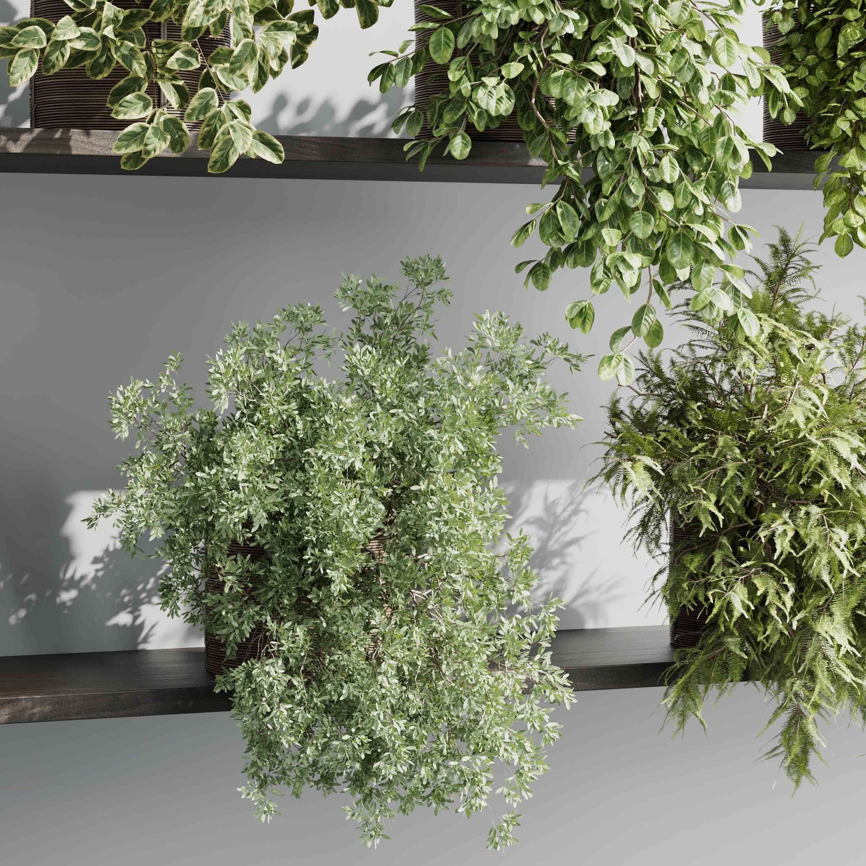 wall plant - hanging plants collection Indoor plant 523 3D model_4