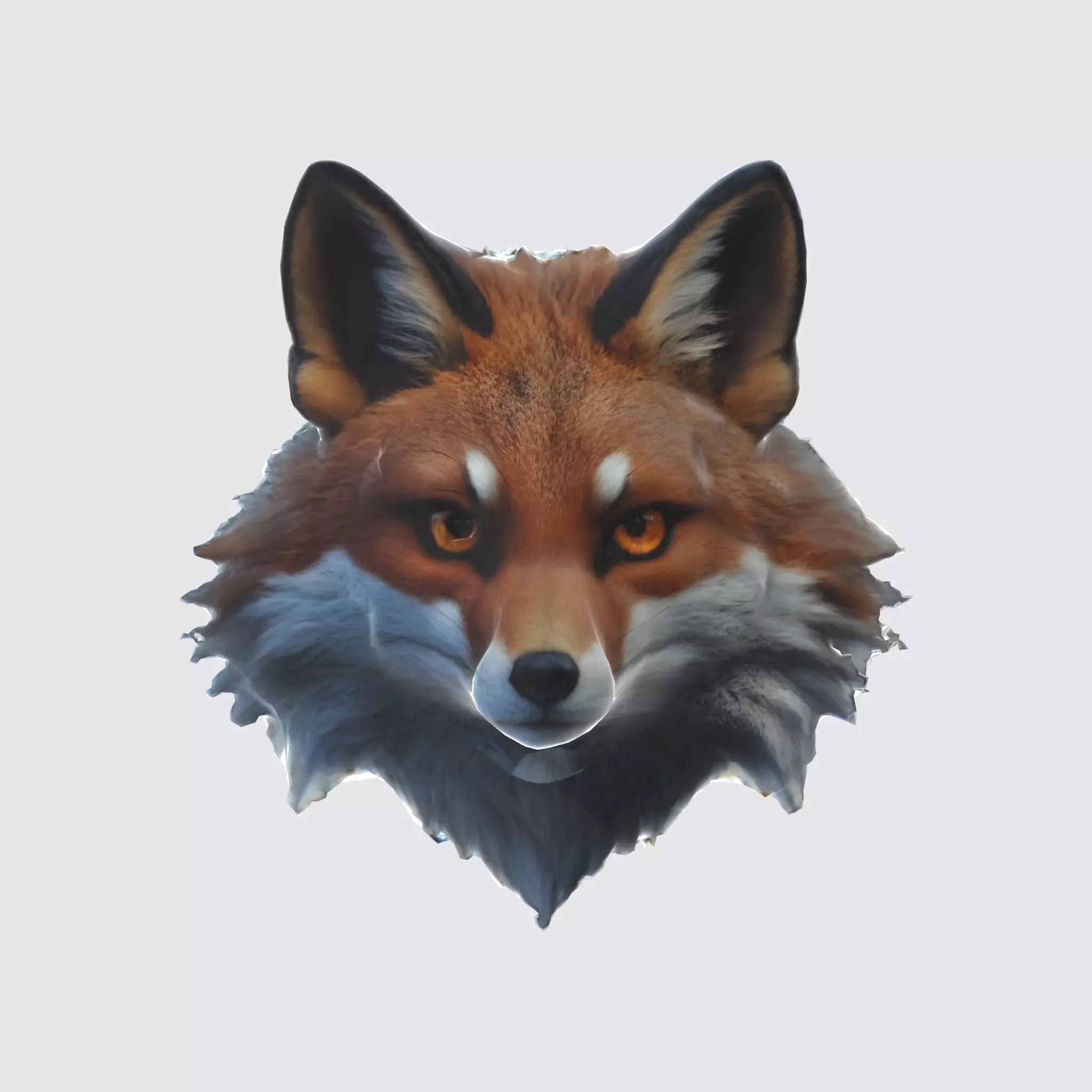 fox with large pointed ears 3D model_0