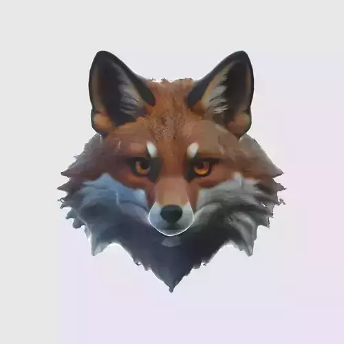 fox with large pointed ears