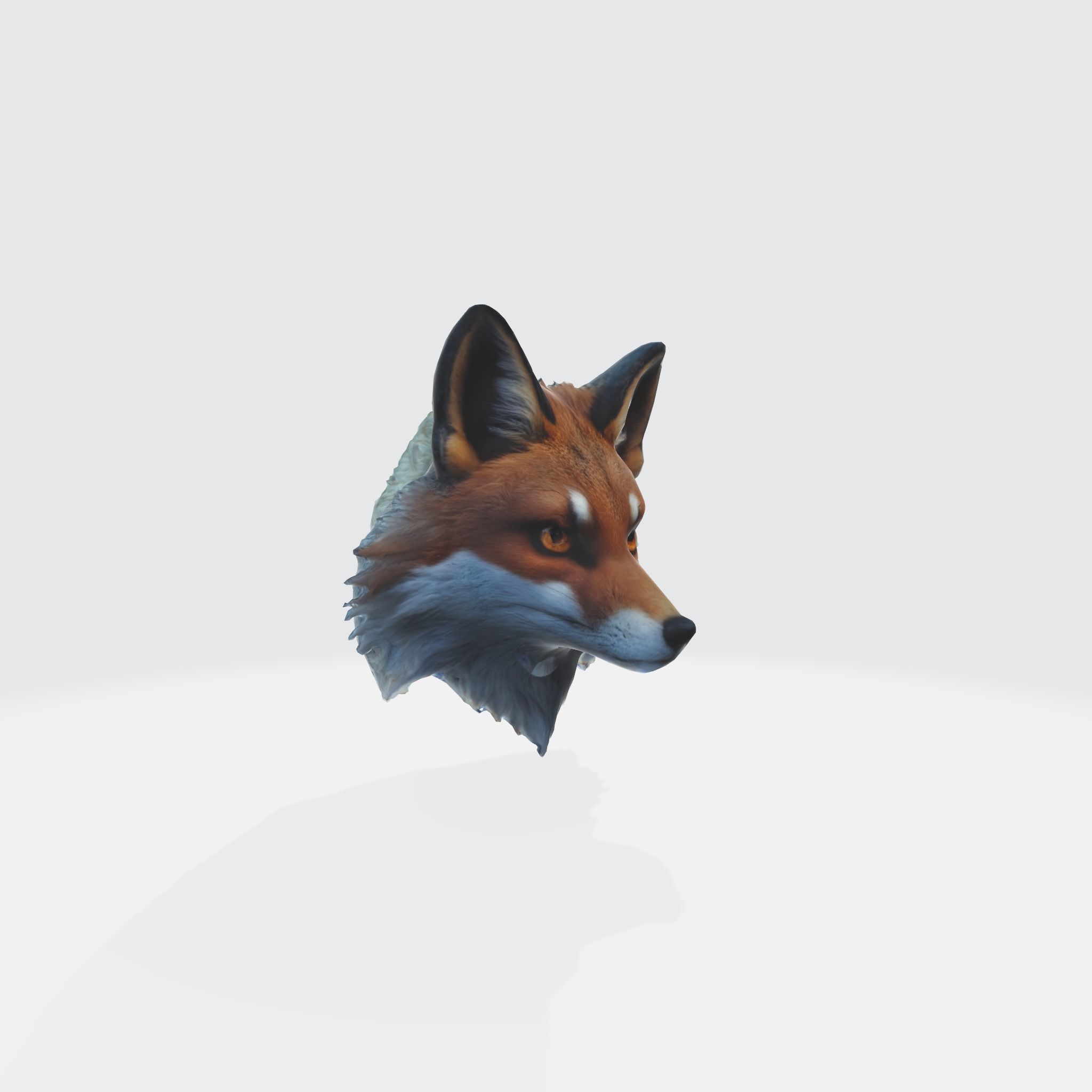 fox with large pointed ears 3D model_2