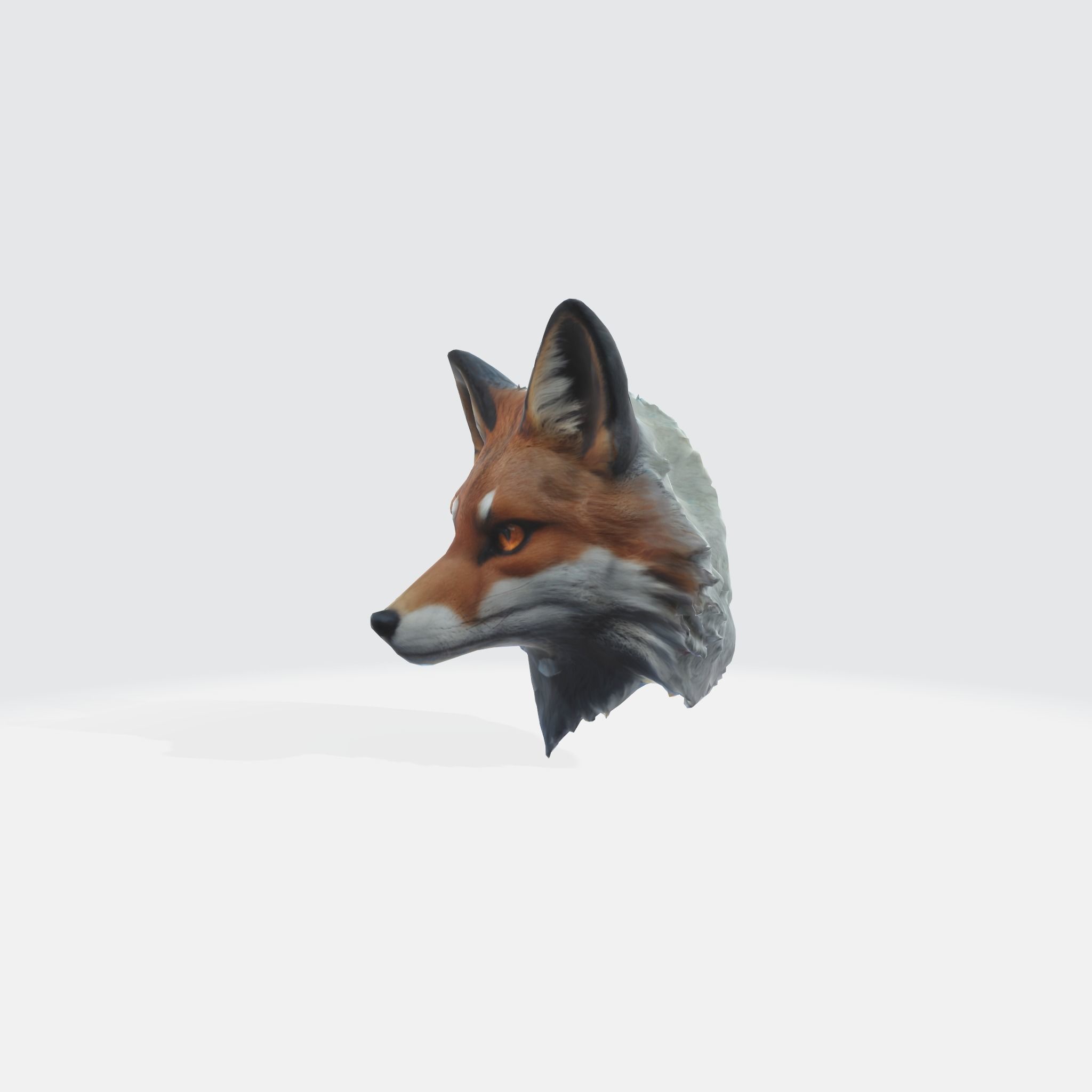 fox with large pointed ears 3D model_1