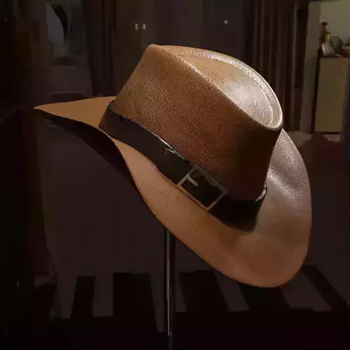 Cow Boy Hat