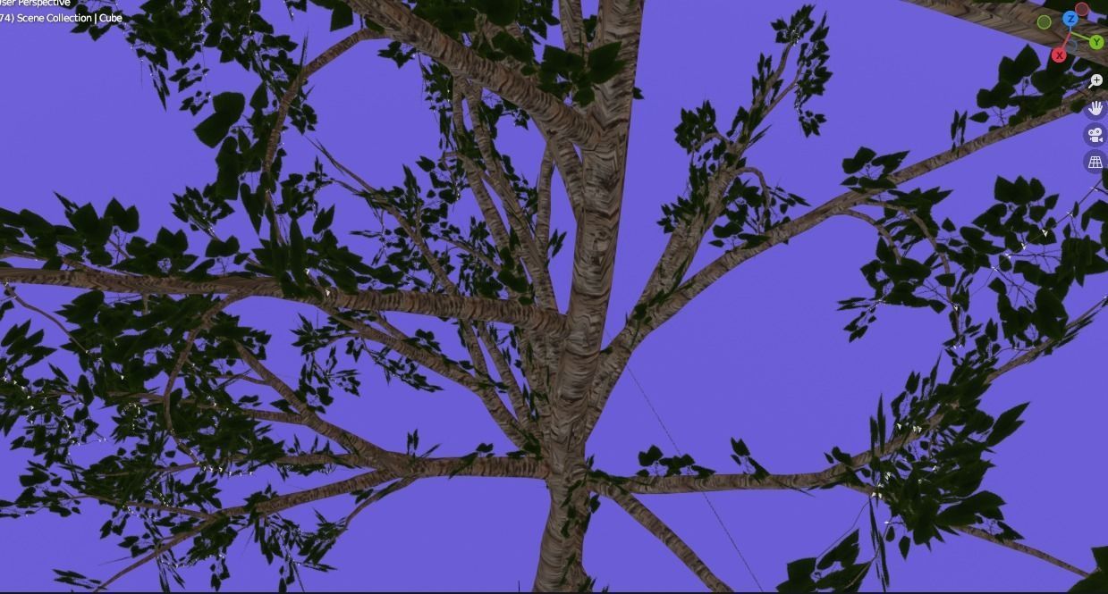 Low-Poly 3D Model of a Birch Tree Low-poly 3D model_3