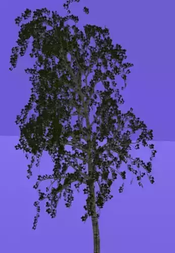 Low-Poly 3D Model of a Birch Tree