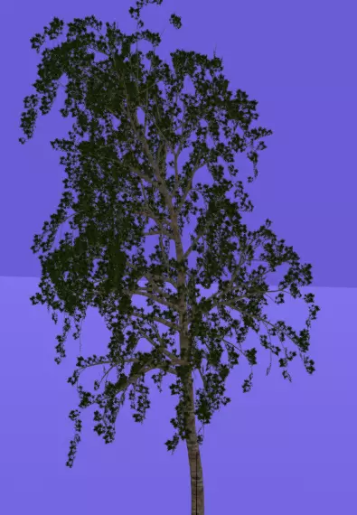 Low-Poly 3D Model of a Birch Tree Low-poly 3D model_0