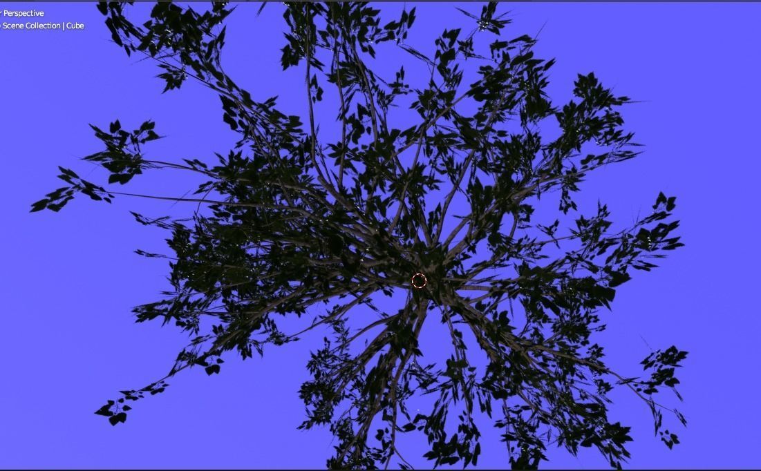 Low-Poly 3D Model of a Birch Tree Low-poly 3D model_4