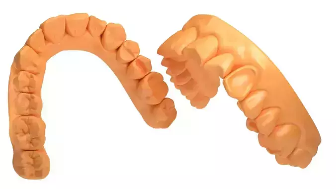 Denture model practice 3D print model