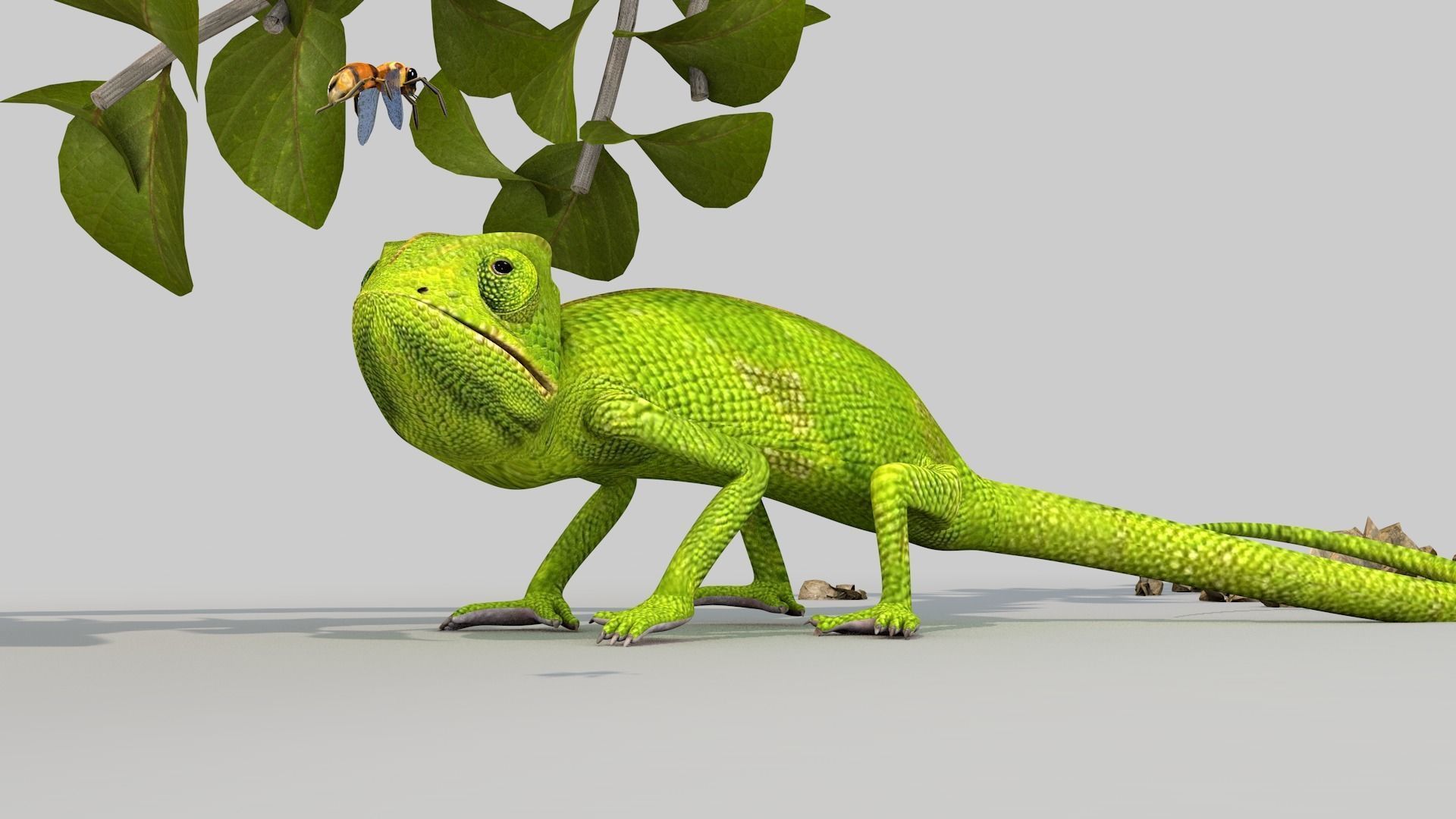 camaleao one 3D model_6