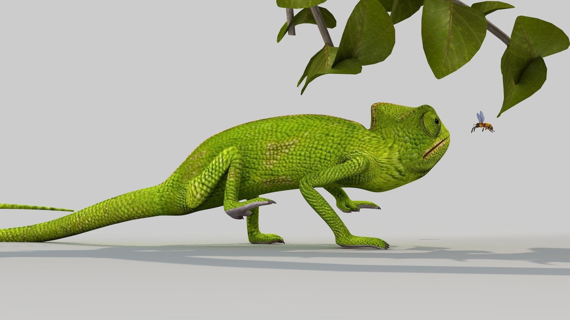 camaleao one 3D model_8