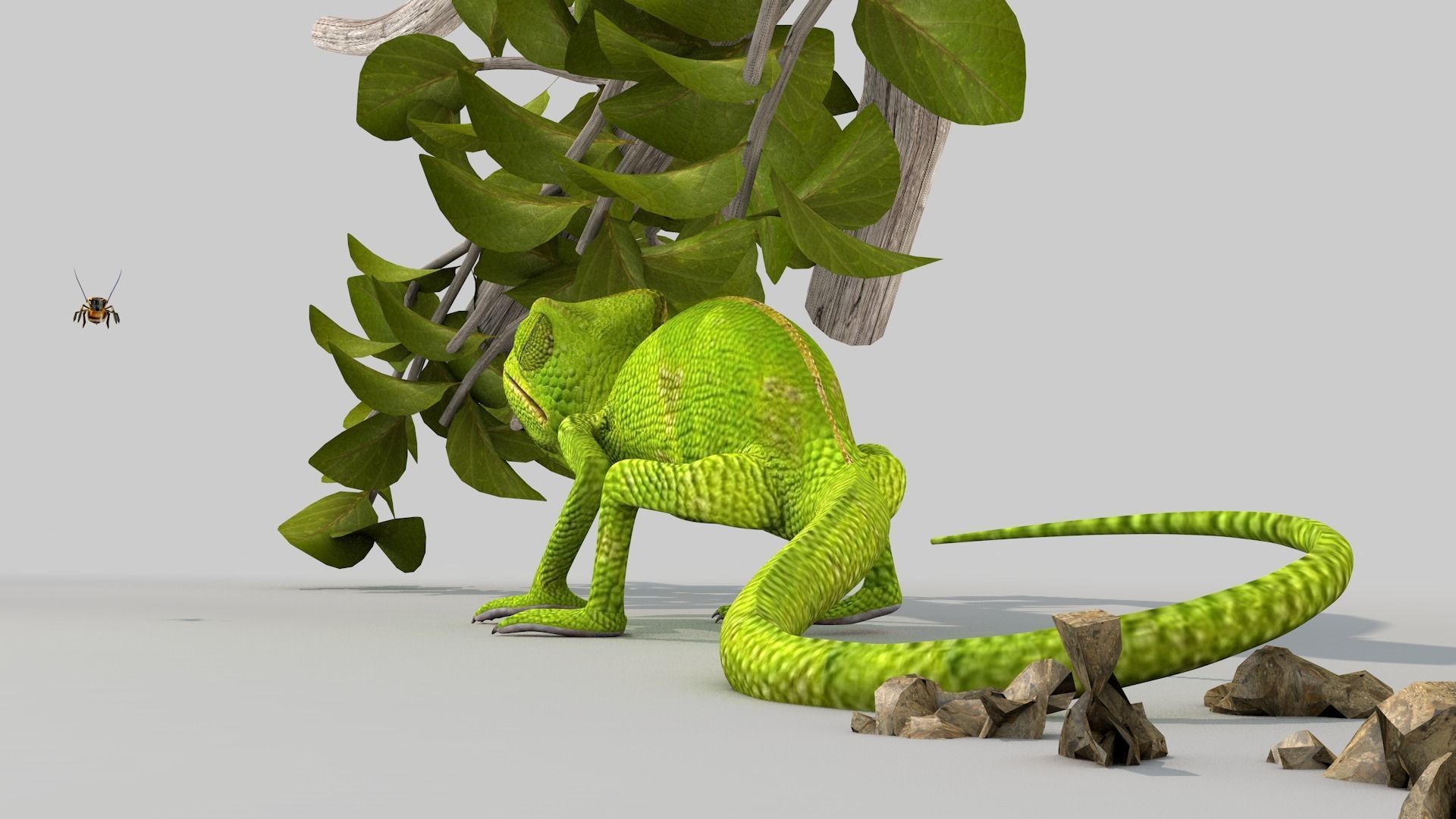 camaleao one 3D model_7