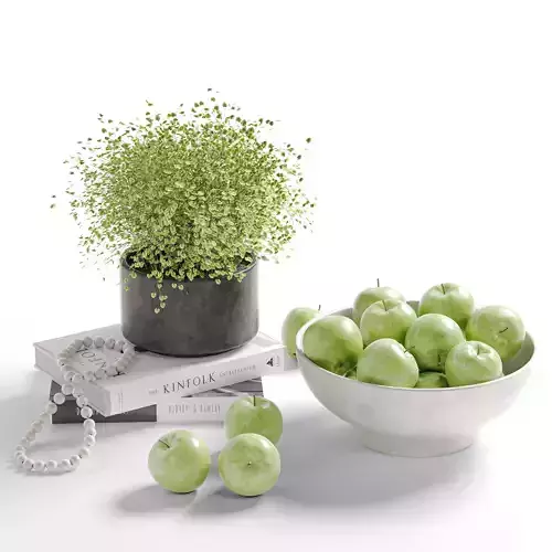 Decorative Set 08 3D model