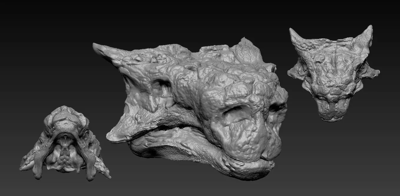 Skull Saichania chulsanensis 3D print model_0