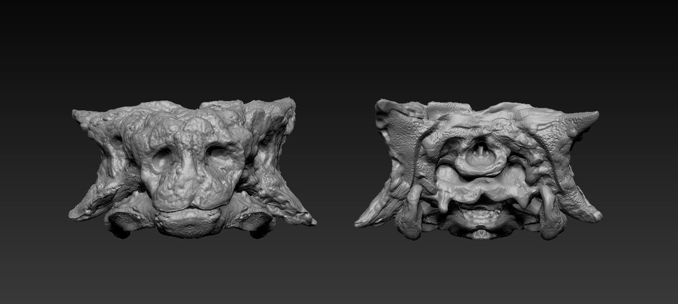 Skull Saichania chulsanensis 3D print model_1