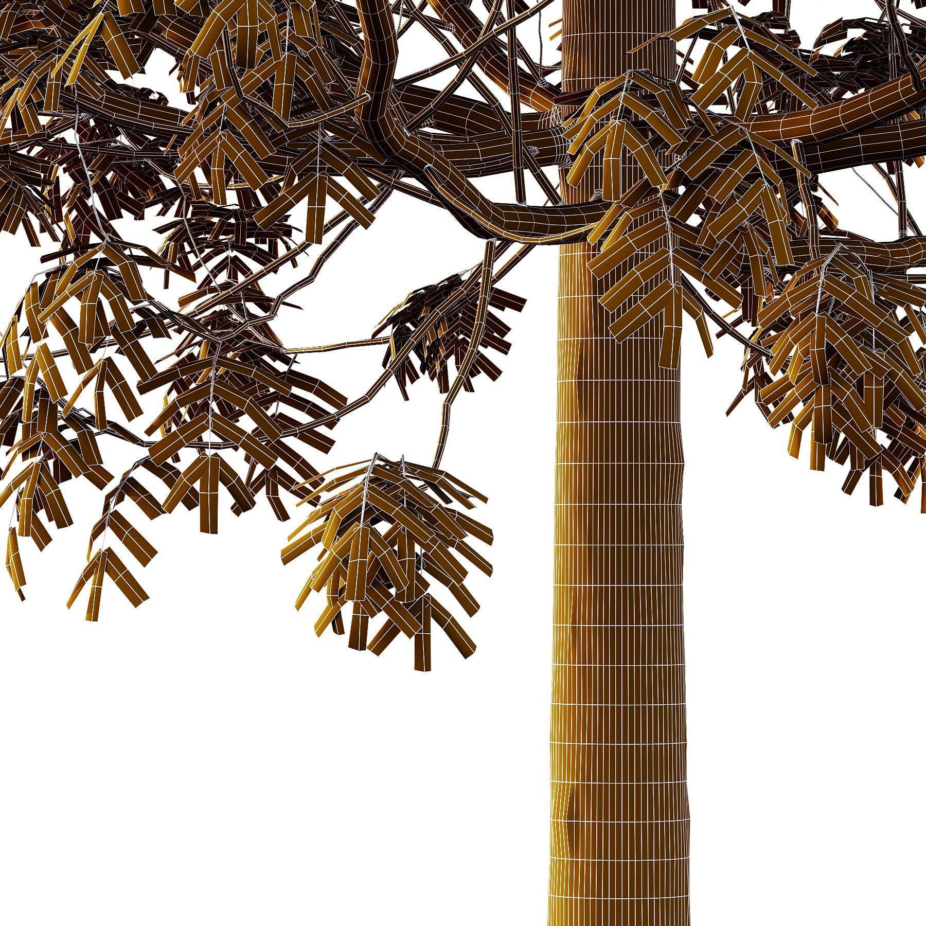 fraxinus excelsior Tree10 3D model_3
