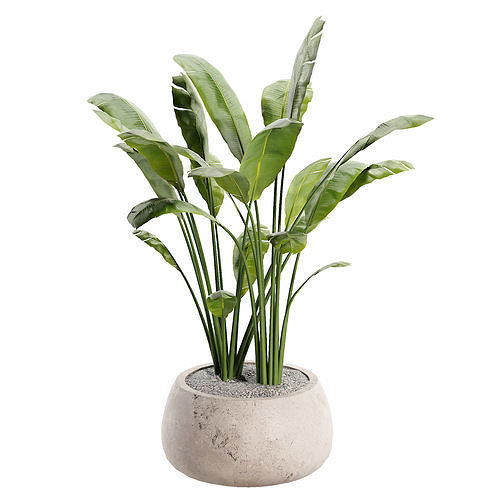 Gobi Planter Low-poly 3D model