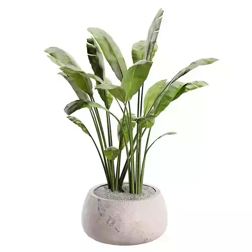 Gobi Planter