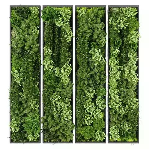 Vertical garden 243