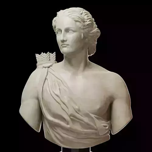Apollo Bust