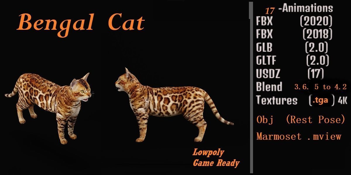 Bengal Cat Low-poly 3D model_3
