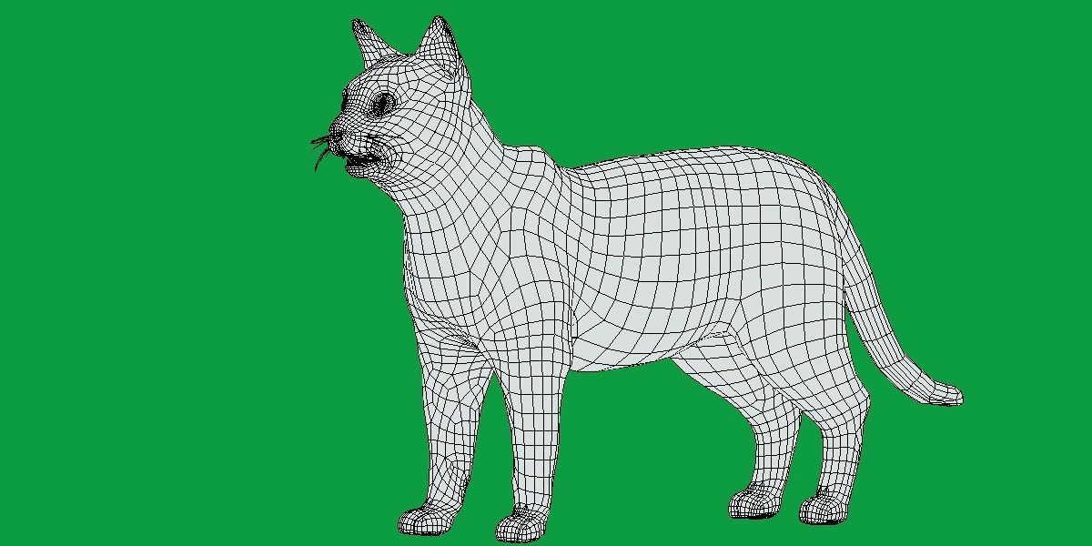 Bengal Cat Low-poly 3D model_10