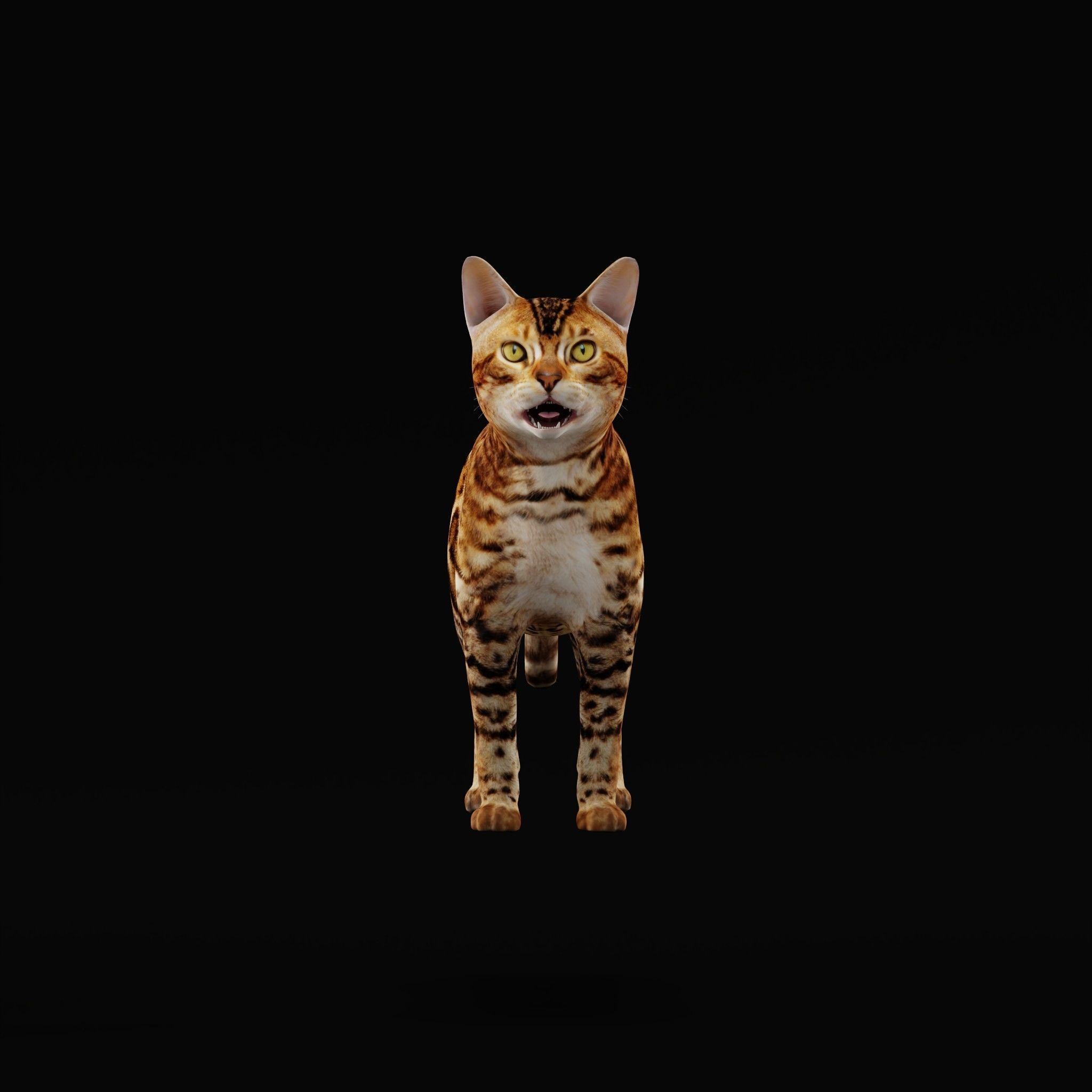 Bengal Cat Low-poly 3D model_31