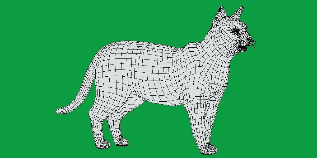 Bengal Cat Low-poly 3D model_11