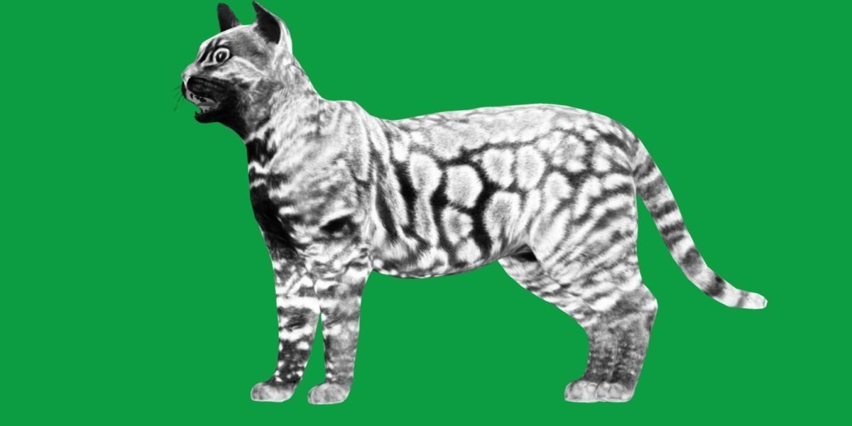 Bengal Cat Low-poly 3D model_27