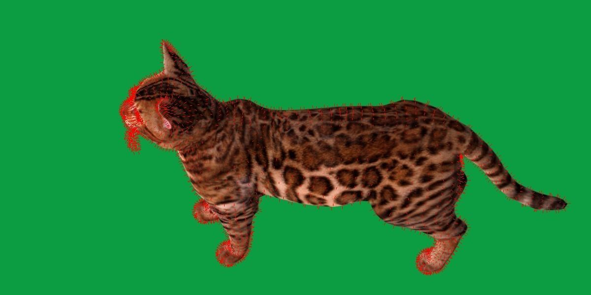 Bengal Cat Low-poly 3D model_14